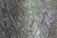 Whitley Chapel fibreglass roof work